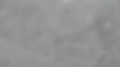 Slutty little female cat online show from January 18, 5:38 am