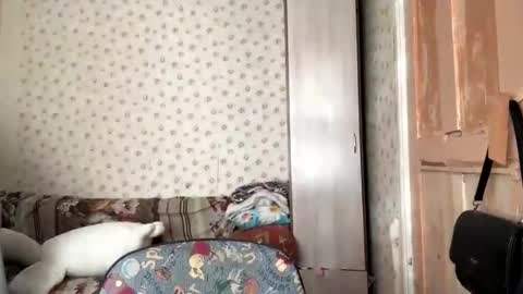 Chloe online show from November 17, 9:45 am