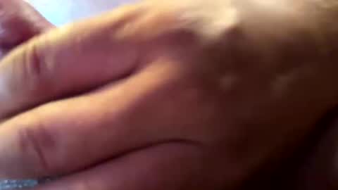 hvalbrecht online show from January 12, 2:24 am