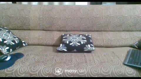 JP online show from February 21, 6:26 pm