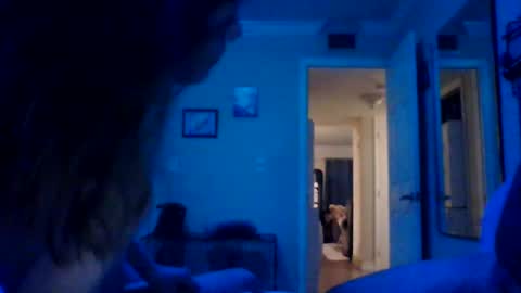 Goat  Lulu  Elektra online show from February 14, 8:10 am