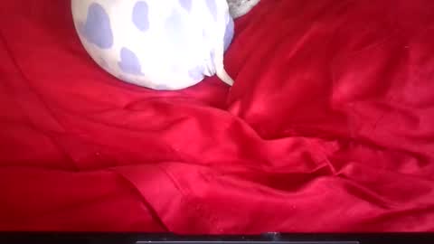 ianrobbins6 online show from April 16, 2:50 pm