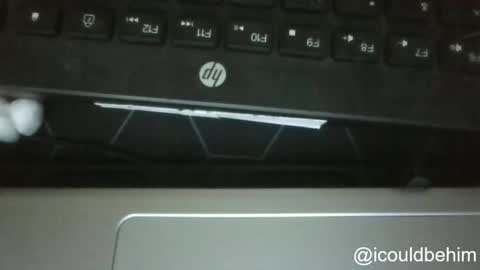 Bob online show from November 12, 9:33 am