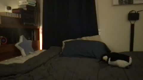 tboy online show from September 14, 11:11 am