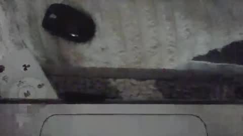 iloveitall86 online show from April 19, 6:10 pm