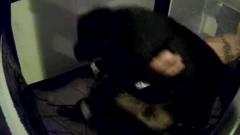 imtru online show from February 14, 4:04 am