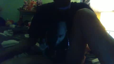 indigo_scorpio online show from October 2, 7:40 am