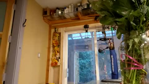 sir. Grummps online show from February 14, 12:24 am