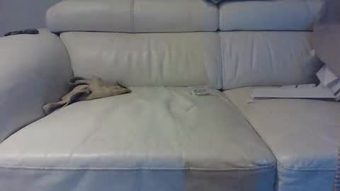 Snapshot of insaneman0502 chatting on February 18, 9:42 pm insaneman0502 online show from February 18, 9:42 pm