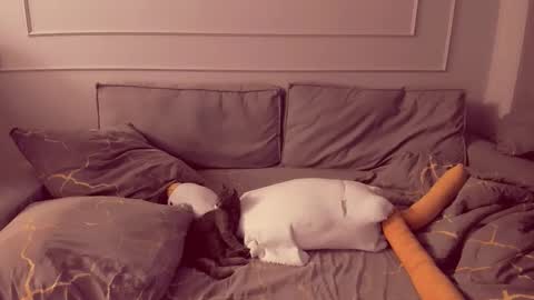 Isabella online show from November 12, 10:34 pm