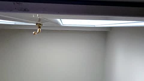 italianbigboy932 online show from April 15, 8:39 am