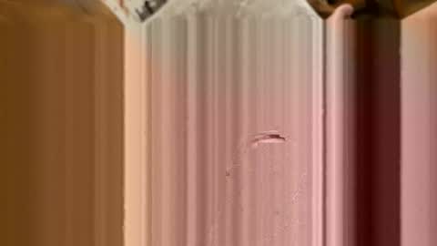 italianxsalami online show from May 24, 9:43 pm