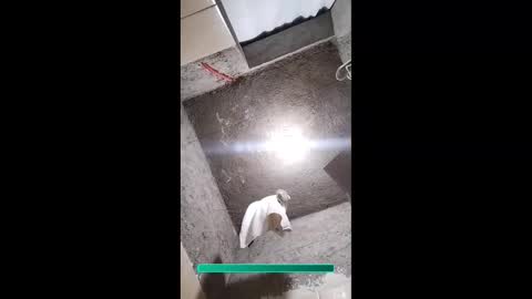 Aiv online show from November 16, 9:22 am