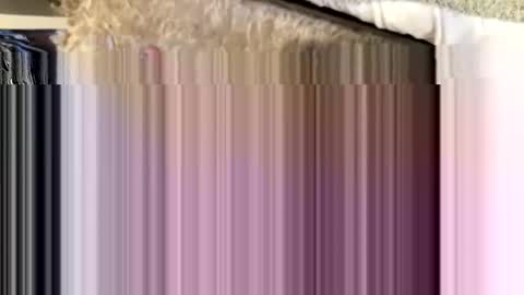 j1a1m1 online show from December 2, 10:13 am