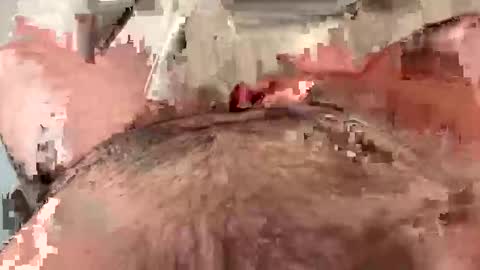 j88142578 online show from January 8, 5:30 pm