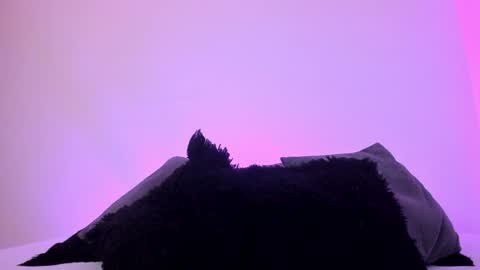 Snapshot of jade_james chatting on December 20, 1:14 am Mady online show from December 20, 1:14 am