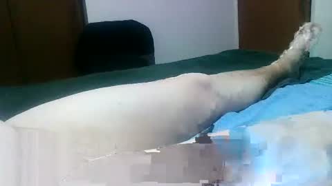 Snapshot of jakscoral chatting on January 31, 6:47 pm Jaks online show from January 31, 6:47 pm