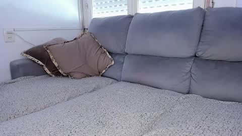 Javier  online show from February 23, 1:46 pm