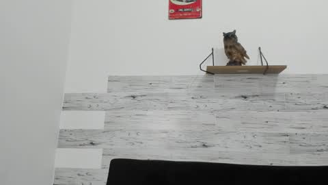 Jaycreedd online show from November 7, 4:04 am