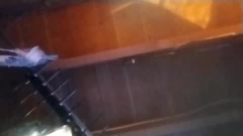 Meetmyfreak online show from February 14, 10:17 am