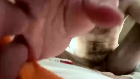 Snapshot of jayksmoker chatting on October 11, 6:51 am jayksmoker online show from October 11, 6:51 am