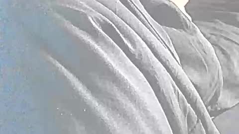 jedishy925585 online show from May 17, 12:03 pm