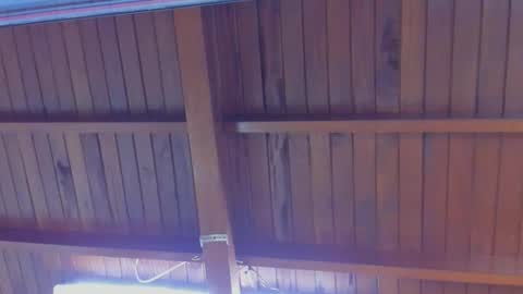 jeicob gagnon online show from February 21, 4:16 pm