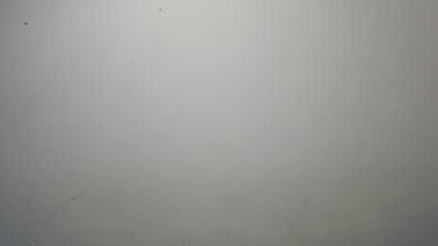 Snapshot of jeisonhoz chatting on October 13, 1:51 am jeisonfit online show from October 13, 1:51 am