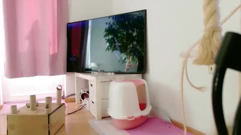 Jessy Unknown online show from November 29, 11:40 am