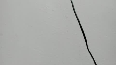 Jimena online show from April 27, 1:08 pm