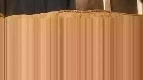 jake online show from November 3, 10:49 am