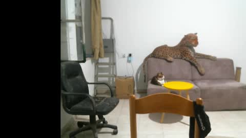 jlmbud online show from October 17, 11:31 pm