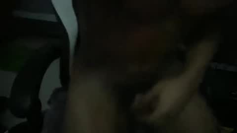 jnbold23 online show from February 4, 3:32 am
