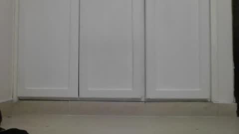 jodahera online show from November 12, 3:58 pm