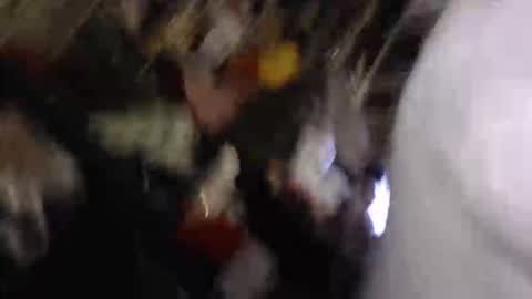 JoeSpod online show from November 1, 3:22 pm