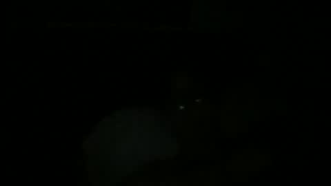 John Ukber online show from December 9, 12:45 am