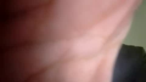 josepheape online show from March 24, 6:19 am