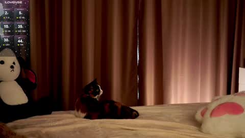 joybunny online show from February 28, 2:09 pm