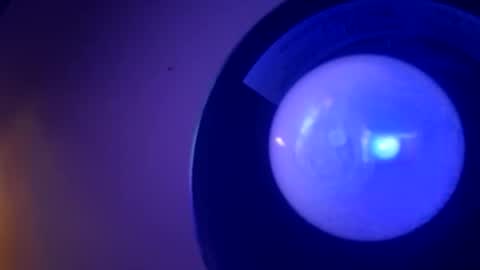 jrzap1806 online show from February 24, 2:58 am