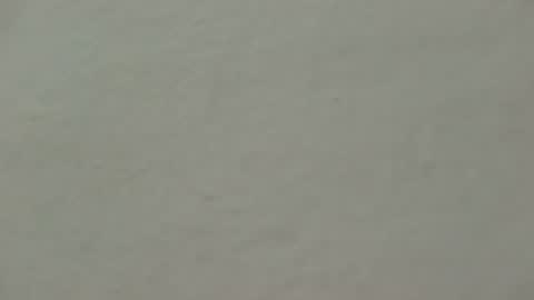 jschtb online show from September 28, 7:12 pm