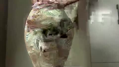 Juicey lovely online show from April 6, 2:07 pm