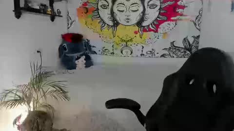 Sofia online show from January 17, 9:23 pm