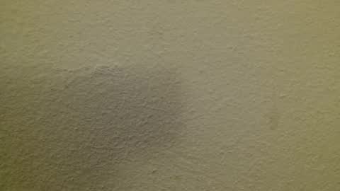 Just marlon online show from February 23, 8:44 pm