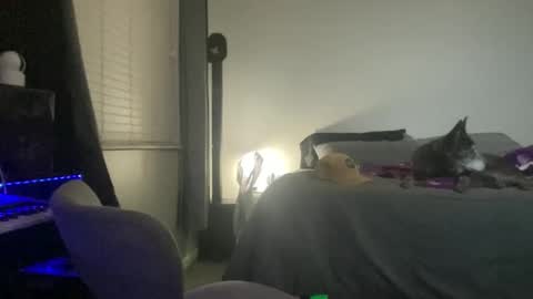 JustinCase online show from November 16, 12:18 pm