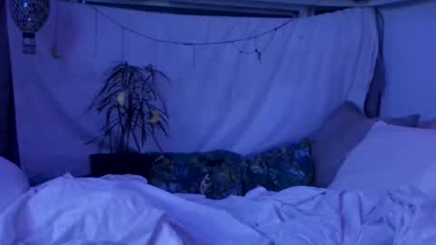 jwolf11851725 online show from October 29, 10:06 am