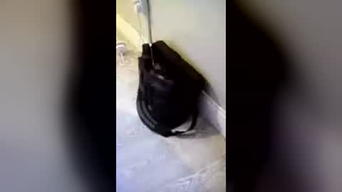 kdogluke online show from July 4, 7:17 pm