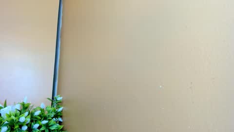 keisy_sanchez online show from January 12, 12:01 pm