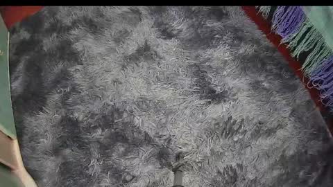 Keyla online show from May 5, 5:36 am