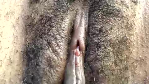 Wetpussy online show from May 21, 9:54 pm
