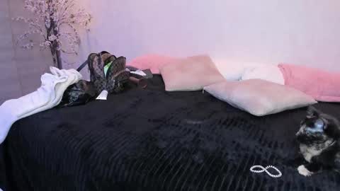    N         M online show from October 24, 11:55 am